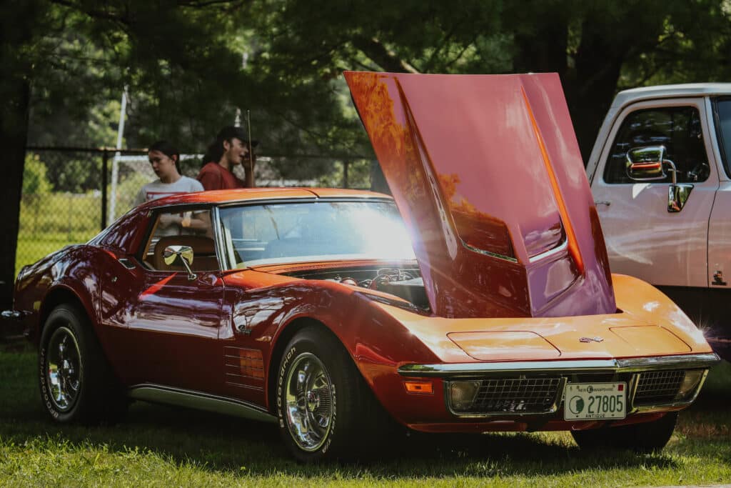 copper stingray salute the troops 7