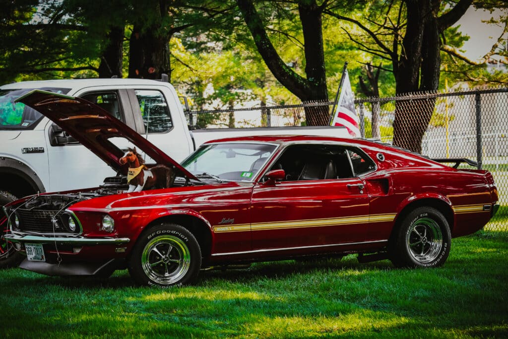 mustang mach 1 salute the troops 7