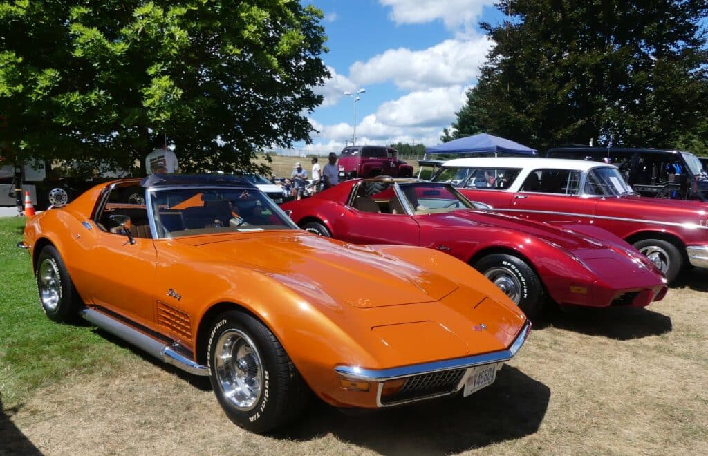 pair of stingrays salute the troops car show 6